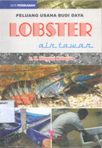 Image of Peluang Usaha Budi Daya LOBSTER Air Tawar